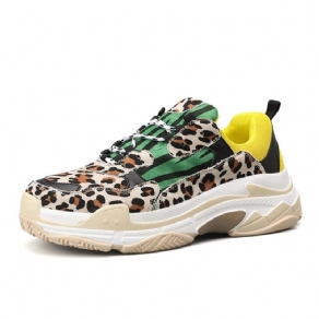 Leopardprint Low-Cut Øvre Snøre-Up Herresneakers