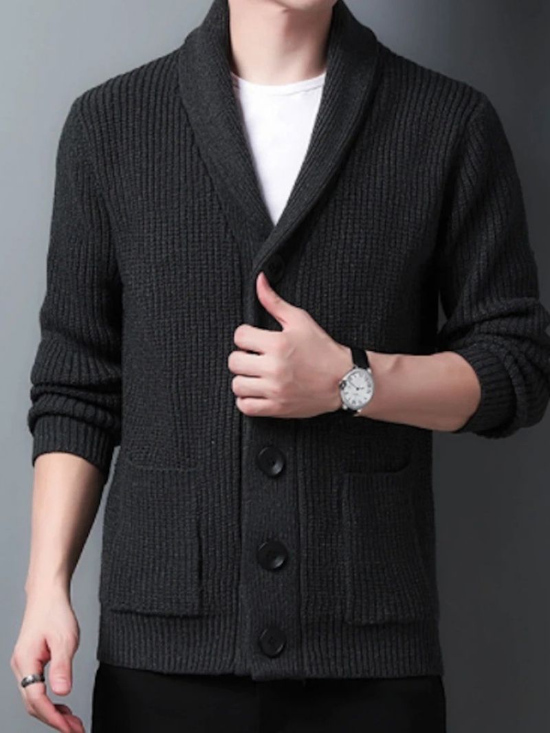 Standard Lapel Plain Slim Fall Casual Sweater