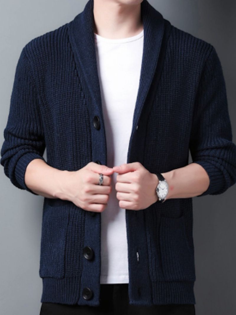 Standard Lapel Plain Slim Fall Casual Sweater