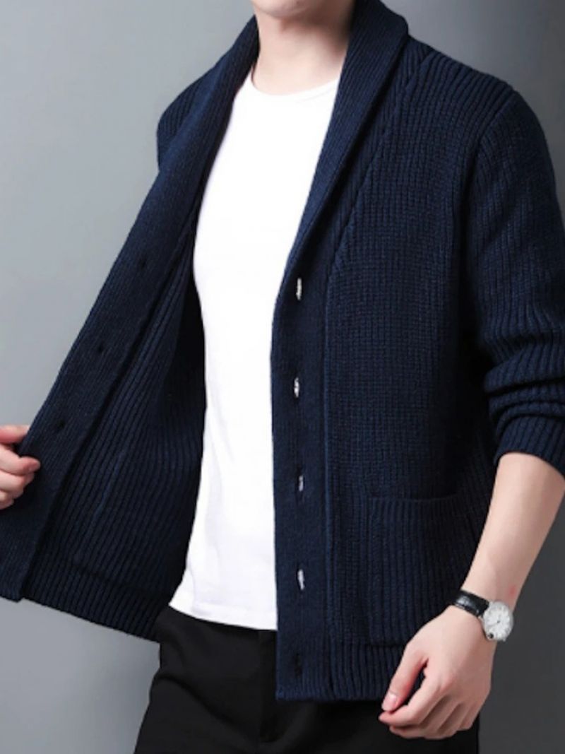 Standard Lapel Plain Slim Fall Casual Sweater