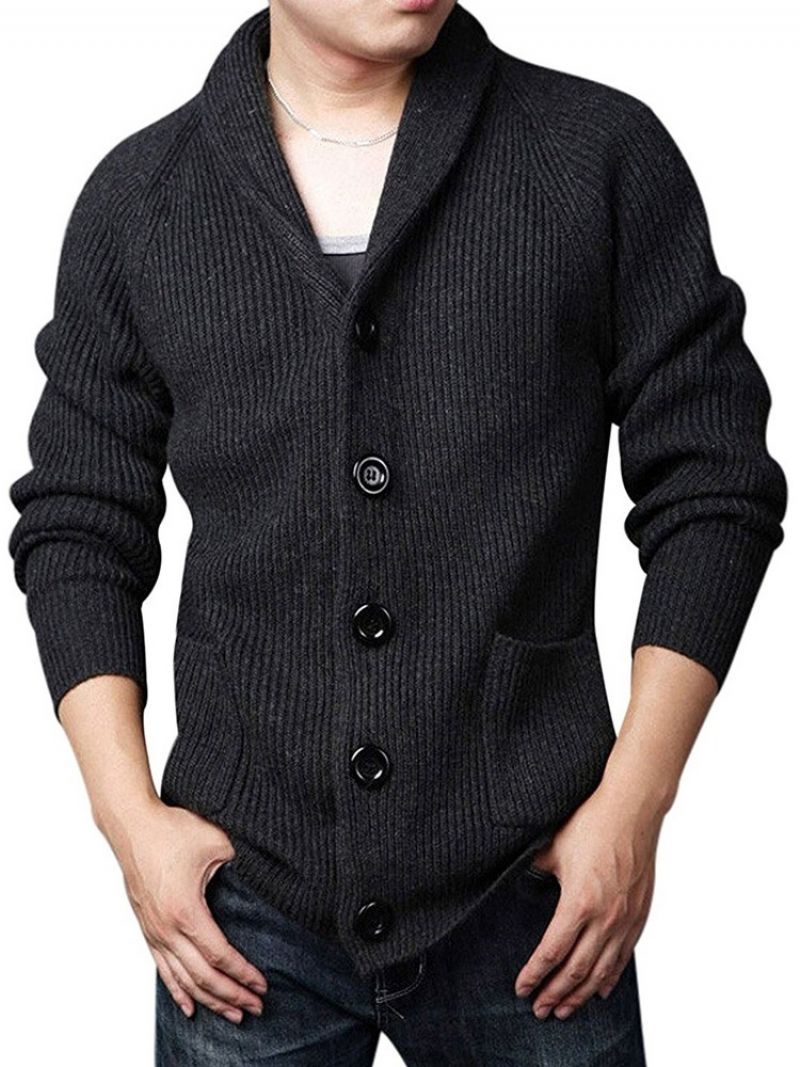 Standard Lapel Plain Slim Fall Casual Sweater