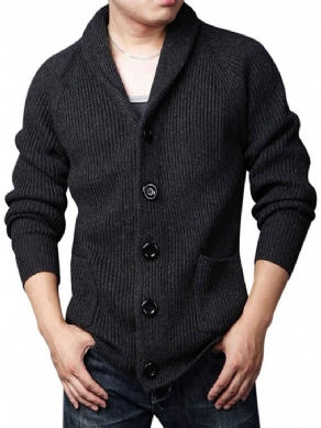 Standard Lapel Plain Slim Fall Casual Sweater