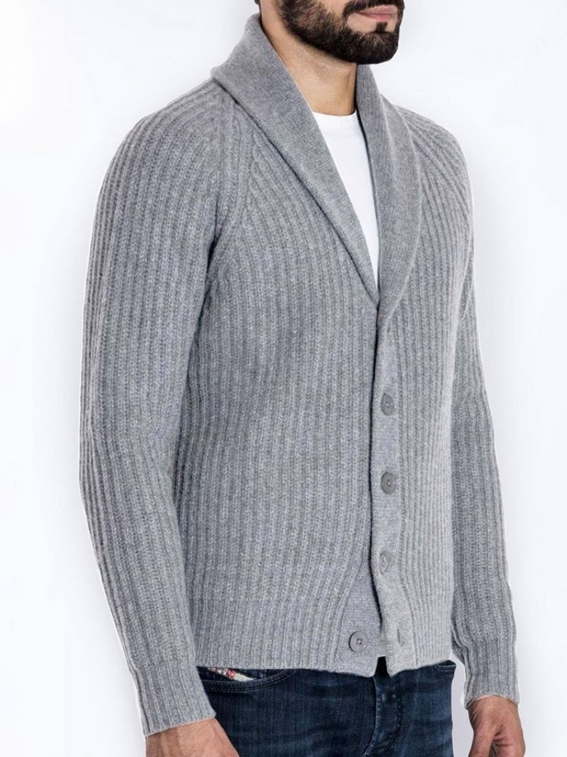 Standard Lapel Plain Slim Fall Sweater