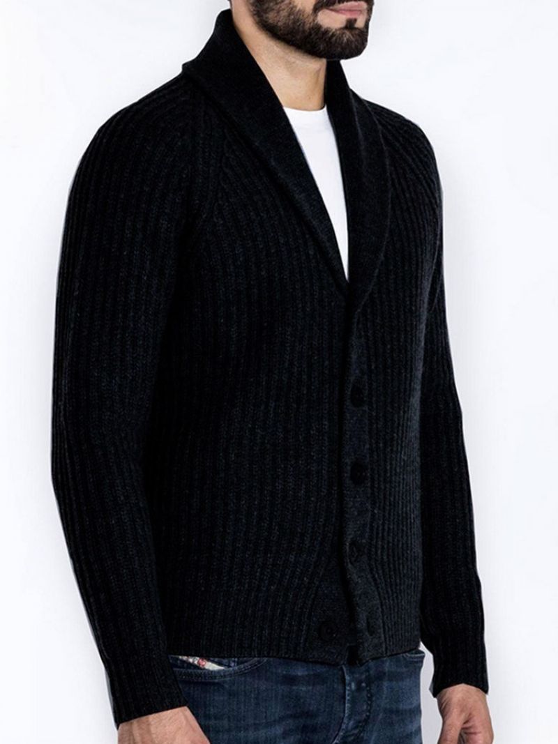 Standard Lapel Plain Slim Fall Sweater