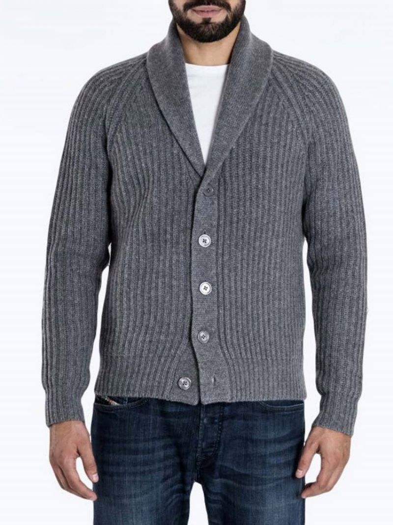 Standard Lapel Plain Slim Fall Sweater