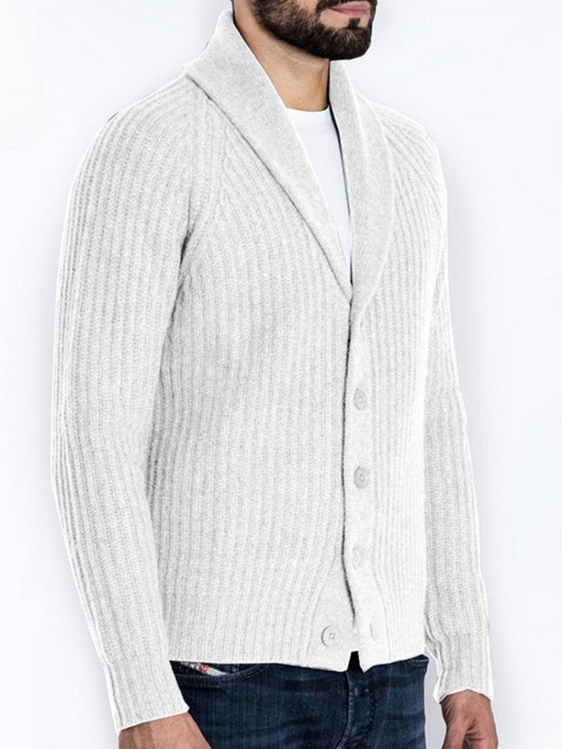 Standard Lapel Plain Slim Fall Sweater