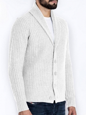 Standard Lapel Plain Slim Fall Sweater