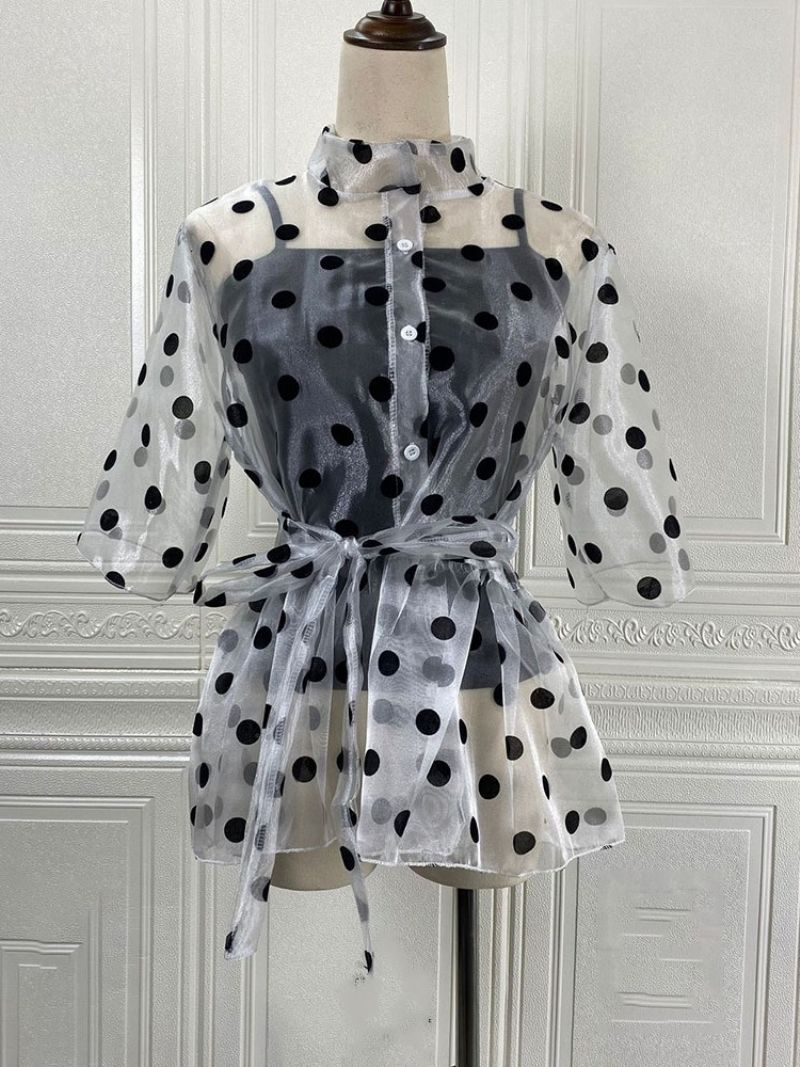 Polka Dots Stand-Krave Gennemsigtige Kvinders Standard Kortærmet Bluse