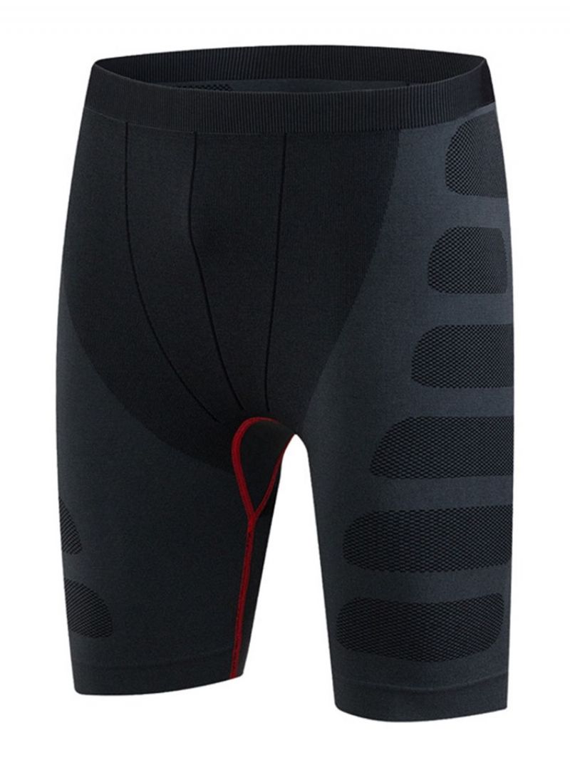 Herre Sportsshorts Quick Dry Løbebukser