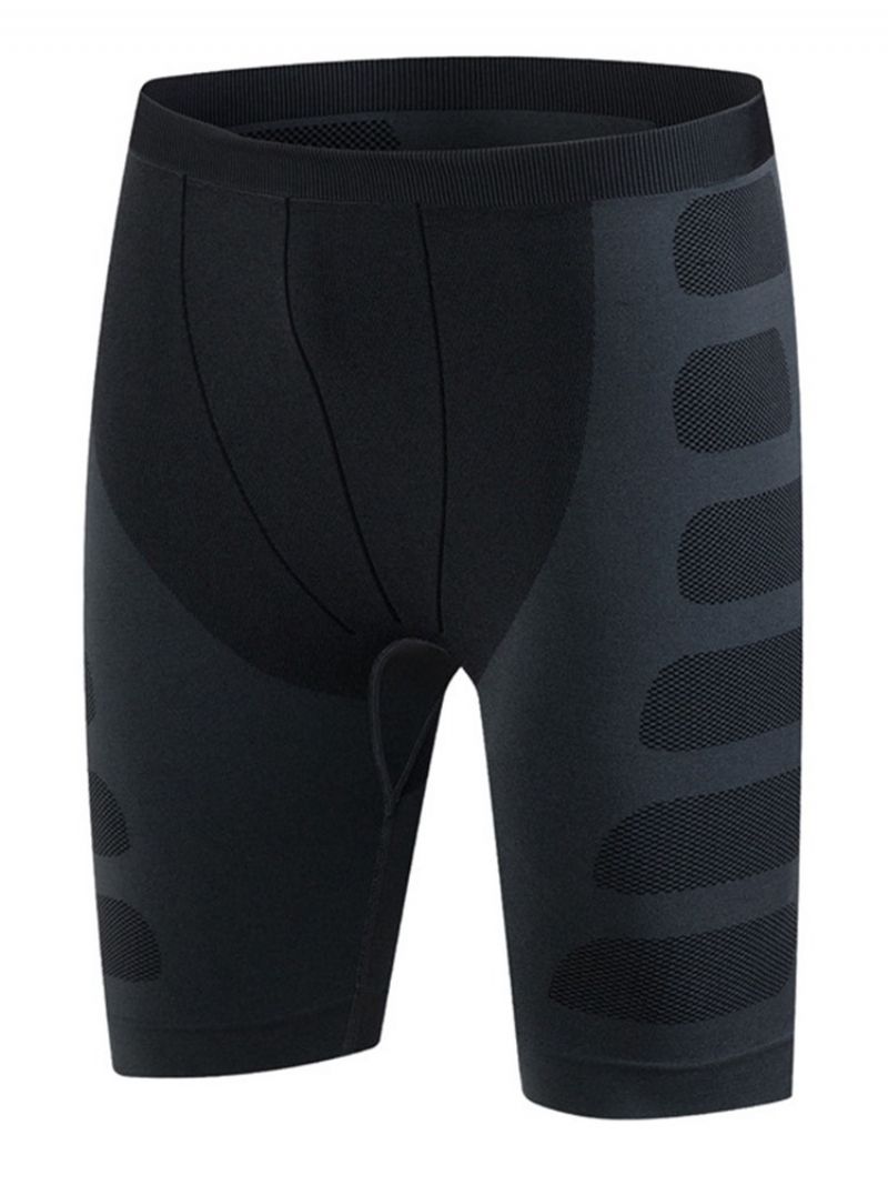 Herre Sportsshorts Quick Dry Løbebukser