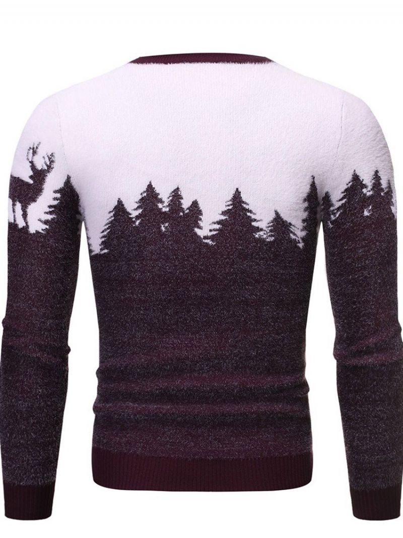 Rundhalset Standardprint Vintereuropæisk Sweater