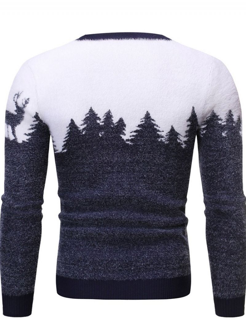 Rundhalset Standardprint Vintereuropæisk Sweater