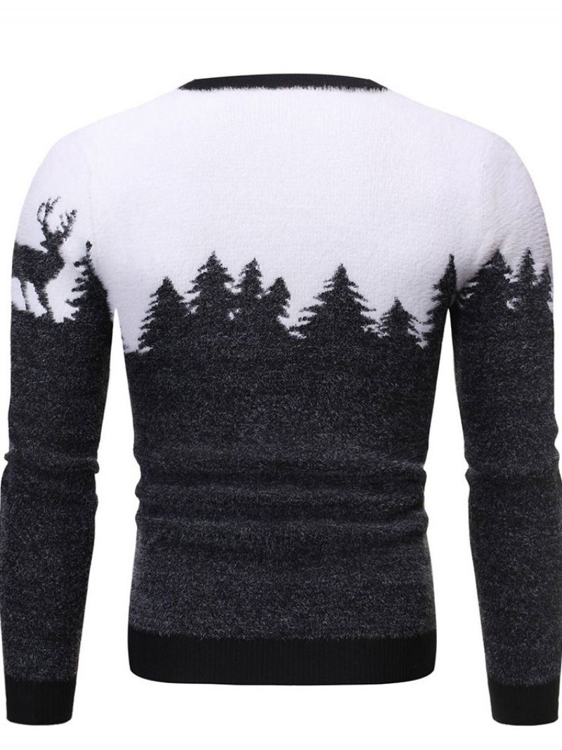 Rundhalset Standardprint Vintereuropæisk Sweater