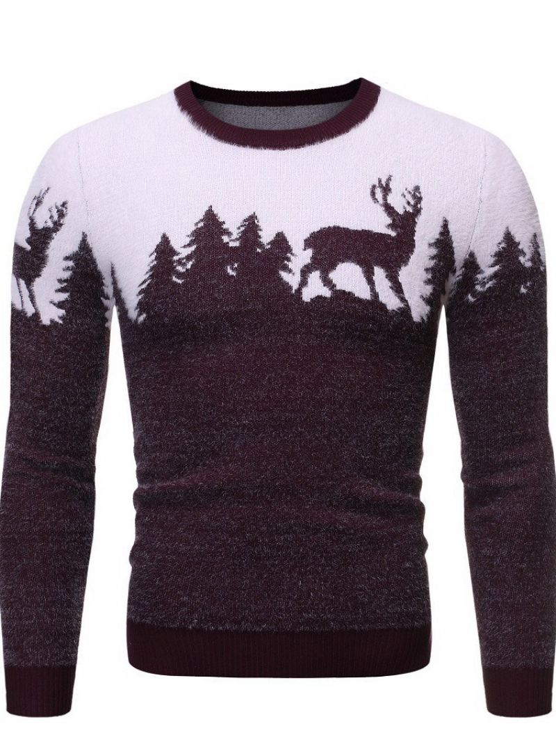 Rundhalset Standardprint Vintereuropæisk Sweater