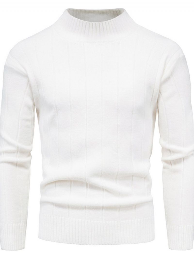 Standkrave Standard Fall Casual Sweater