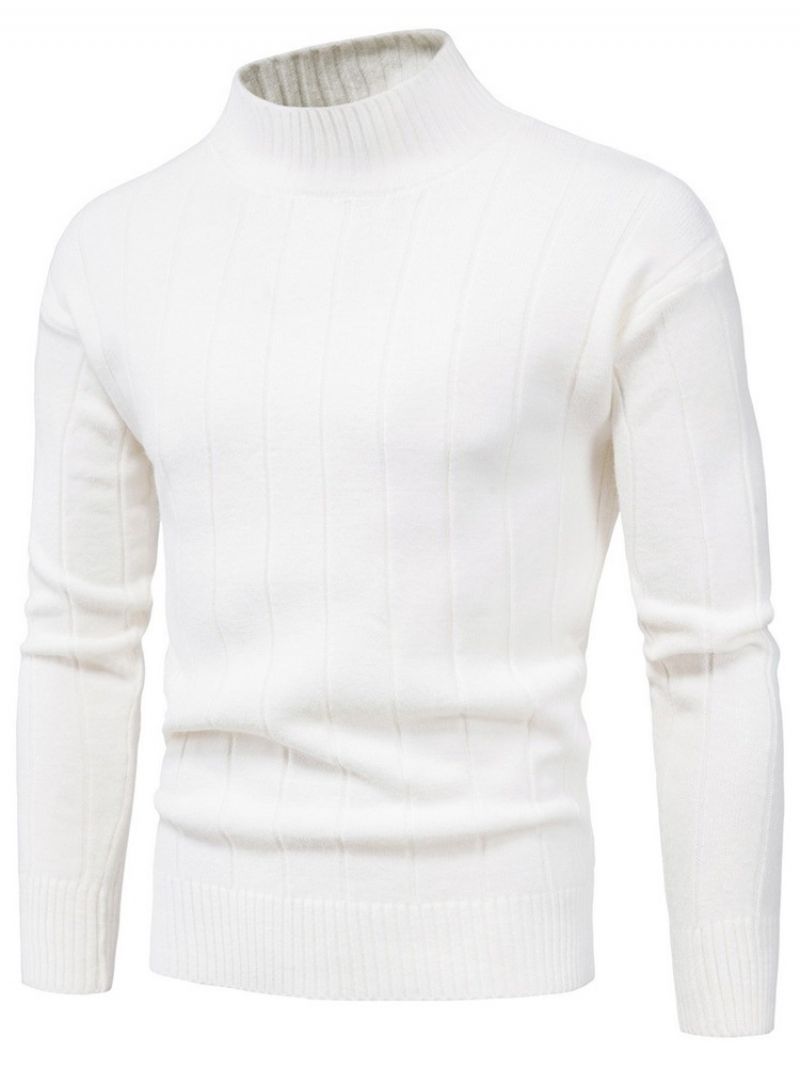 Standkrave Standard Fall Casual Sweater