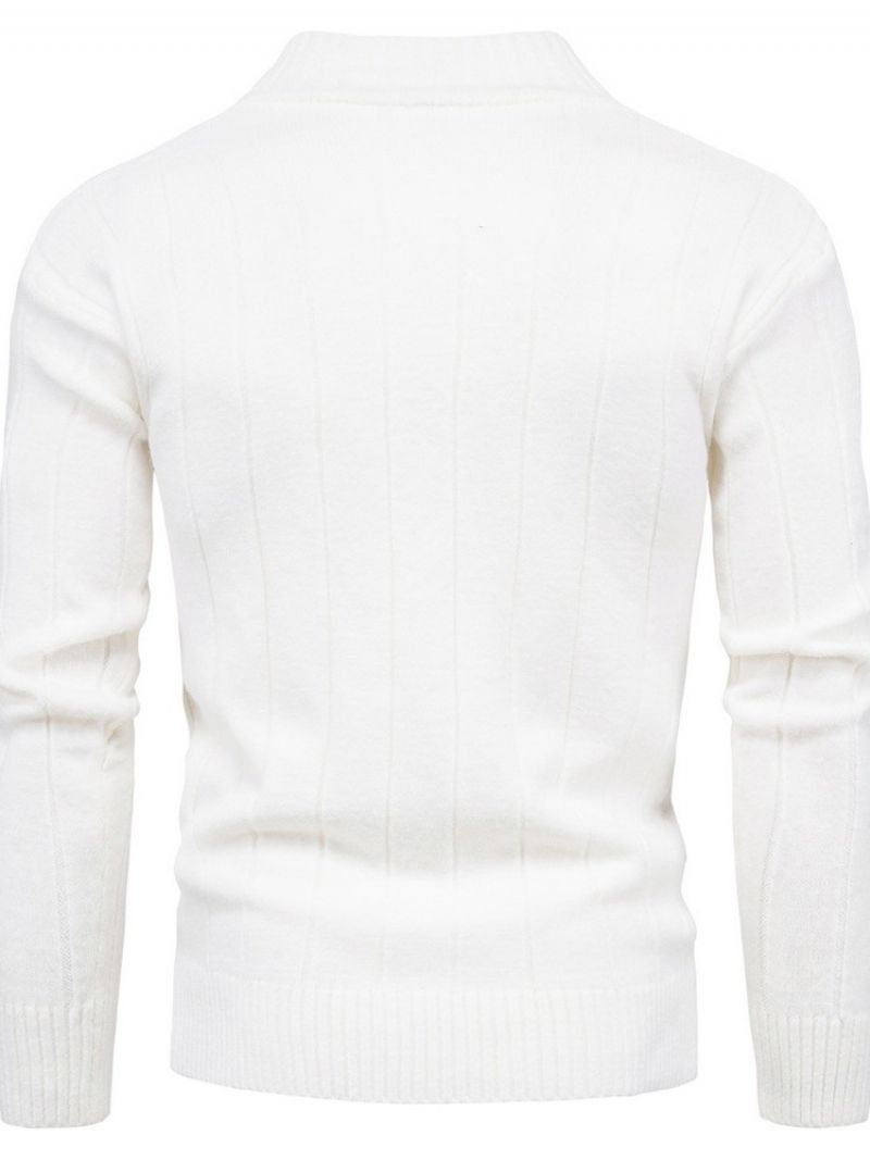 Standkrave Standard Fall Casual Sweater