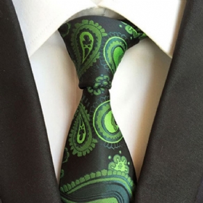 Business Neck Tie Sæt